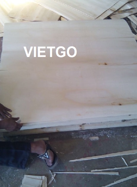 Đối tác người Indonesia đang cần mua thử 120m3 ván bóc lõi keo mỗi tuần