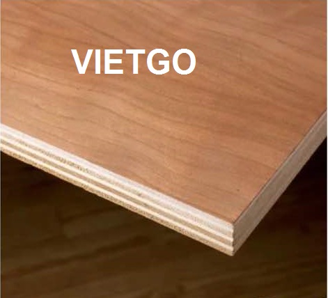 Cơ hội xuất khẩu 6 container 20ft gỗ dán sang Ethiopia
