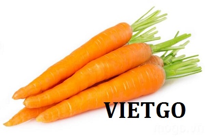Cơ hội xuất khẩu 28 tấn cà rốt sang thị trường Réunion