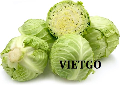 Cơ hội xuất khẩu 10 tấn cải bắp tròn sang thị trường Réunion