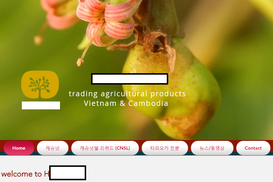 Bà Lim Hyon Sook đến từ Hàn Quốc đang có nhu cầu mua sắn lát