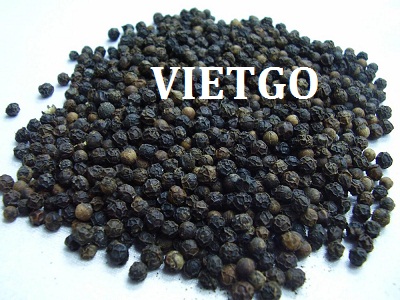Cơ hội xuất khẩu 1 cont 20ft hạt tiêu đen sang thị trường Senegal