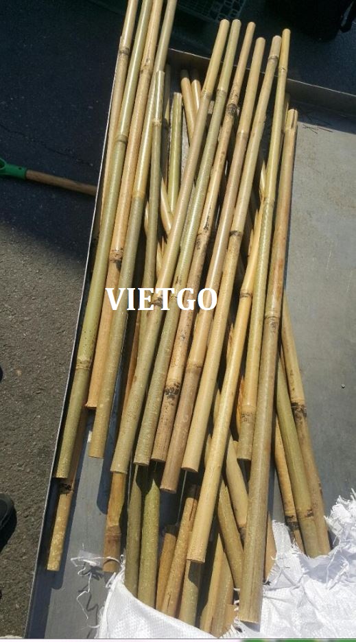 Khách hàng Hàn Quốc đang có nhu cầu nhập khẩu 10 container 40ft gậy tre hàng tháng