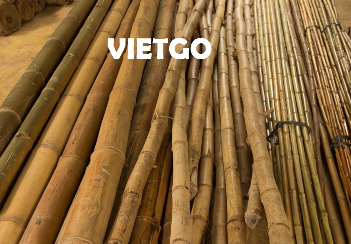 Khách hàng Nhật Bản đang có nhu cầu nhập khẩu 50.000 gậy tre