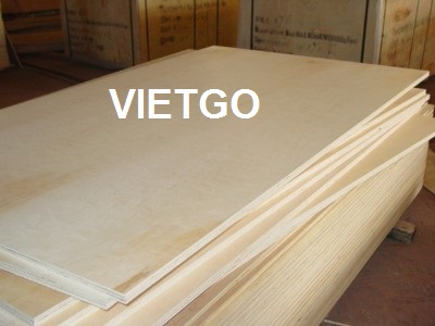 Cơ hội xuất khẩu 20.000 tấm gỗ dán mỗi tháng sang Mỹ