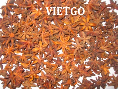 Cơ hội xuất khẩu 1 cont 20ft  hồi sang Ấn Độ