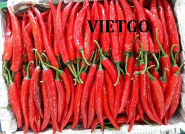 Cơ hội xuất khẩu 1 cont 20ft ớt tươi đỏ sang thị trường Brunei