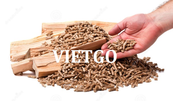 Cơ hội xuất khẩu 10.000 tấn viên nén mùn cưa sang Hàn Quốc mỗi tháng