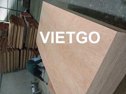 Cơ hội xuất khẩu ít nhất 10 container 40ft gỗ dán mỗi tháng sang Mỹ