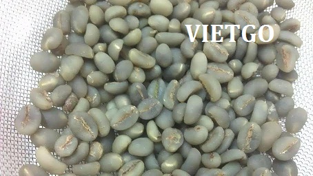 Cơ hội xuất khẩu 100 tấn cà phê hạt Arabica và Robusta xanh thị trường Algeria