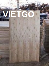 Thương nhân đến từ Ấn Độ đang cần mua 1 container 40ft ván bóc lõi bạch đàn