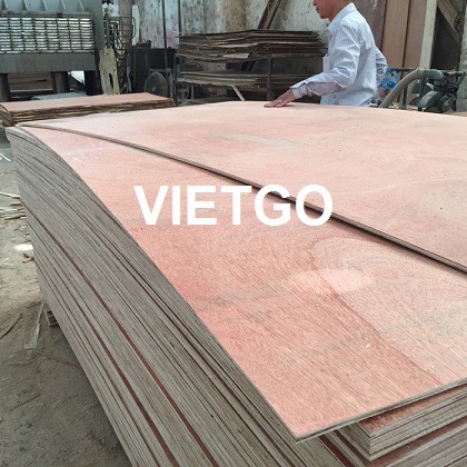 Cơ hội xuất khẩu 21000 tấm gỗ dán packing sang Ấn Độ