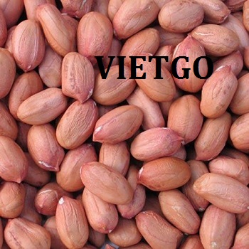 Cơ hội xuất khẩu 1 cont 20ft lạc nhân sang thị trường Trung Quốc