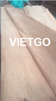 Đối tác người Ấn Độ đang cần mua 2 container 40ft ván bóc mặt gỗ dầu