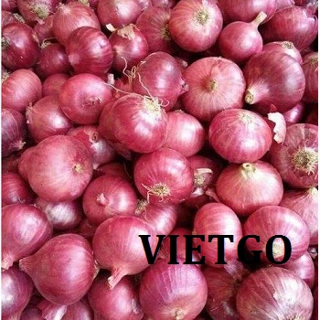 Cơ hội xuất khẩu 1 cont 20ft hành củ mỗi tháng sang thị trường Nhật Bản