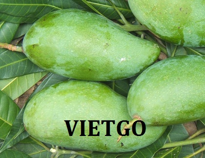 Cơ hội xuất khẩu 1 cont 20ft xoài sang thị trường Nhật Bản