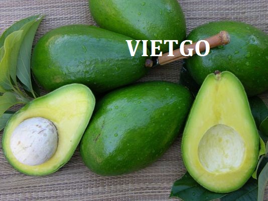 Cơ hội xuất khẩu 500kg bơ sang thị trường Lithuania cho lần nhập thử đầu tiên