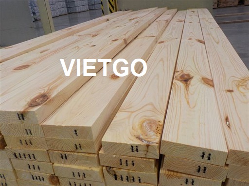 Cơ hội xuất khẩu 1 container 40ft gỗ thông xẻ sang Ấn Độ