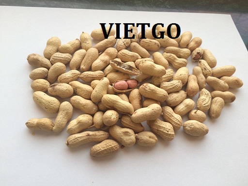 Cơ hội xuất khẩu 40 tấn lạc nguyên vỏ  sang thị trường Yemen