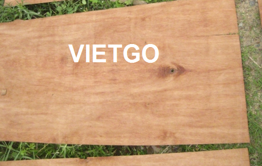 Công ty sản xuất đồ nội thất tại Malaysia đang cần mua 4 container 40ft ván bóc lõi gỗ dầu