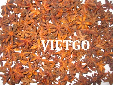 Cơ hội xuất khẩu 1 cont 20ft hồi sang thị trường Ấn Độ
