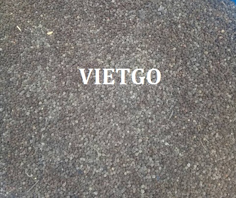 Cơ hội xuất khẩu 1 cont 20ft hạt tiêu đen sang thị trường Senegal