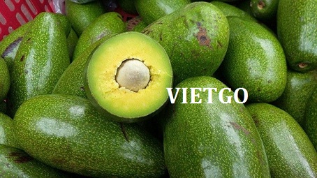 Cơ hội xuất khẩu 1 cont 20ft bơ sáp sang thị trường Nepal