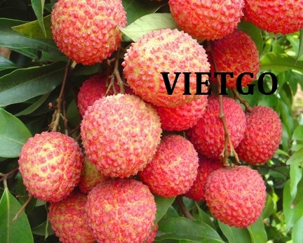 Cơ hội xuất khẩu 5 tấn vải sang quốc đảo Mauritius