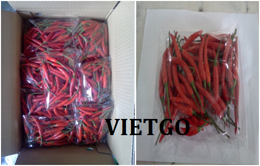 Cơ hội xuất khẩu 120 tấn ớt tươi đỏ và xanh mỗi tuần sang thị trường Qatar
