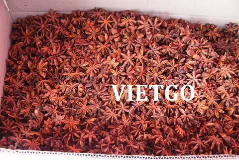 Cơ hội xuất khẩu 1 cont 20ft hồi sang thị trường Anh Quốc