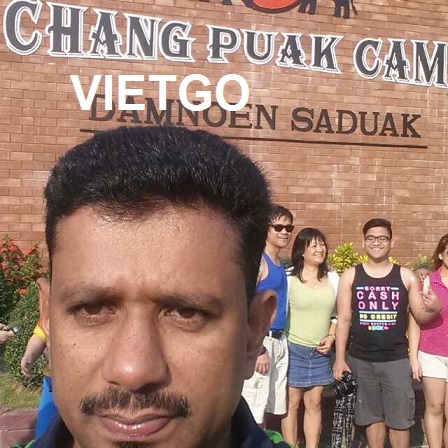 Cơ hội xuất khẩu 1000m3 gỗ thông xẻ sang Sri Lanka
