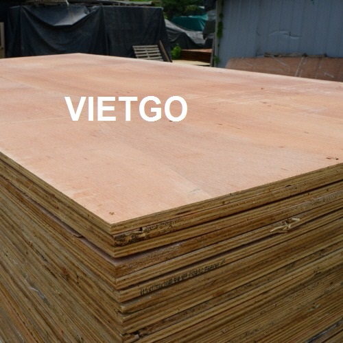Cơ hội xuất khẩu 5 container 40ft gỗ dán sang Hàn Quốc