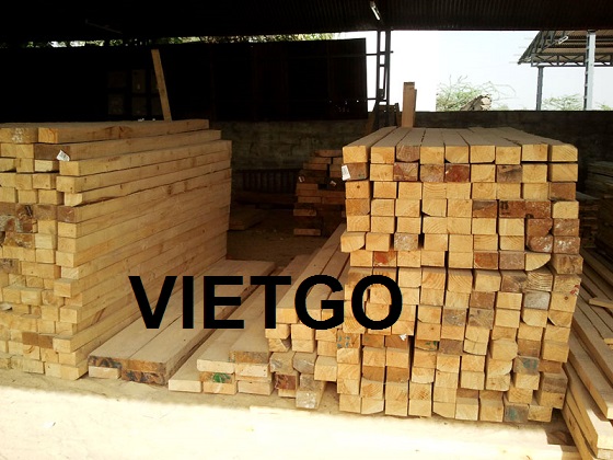 Vị khách người Trung Quốc muốn nhập khẩu 1 container 40ft gỗ thông xẻ