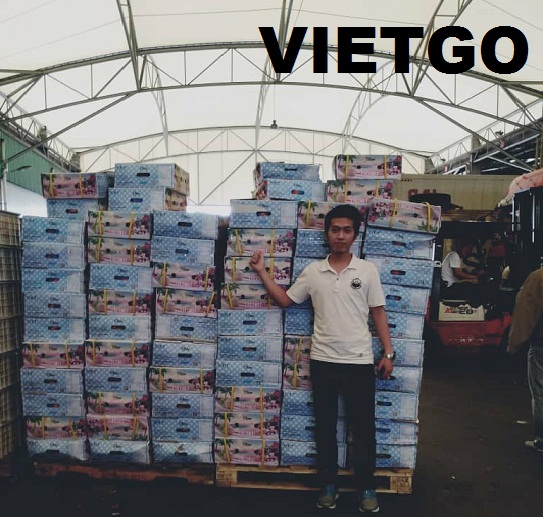 Cơ hội xuất khẩu 35 containers 40ft chuối tiêu mỗi tuần sang thị trường Trung Quốc
