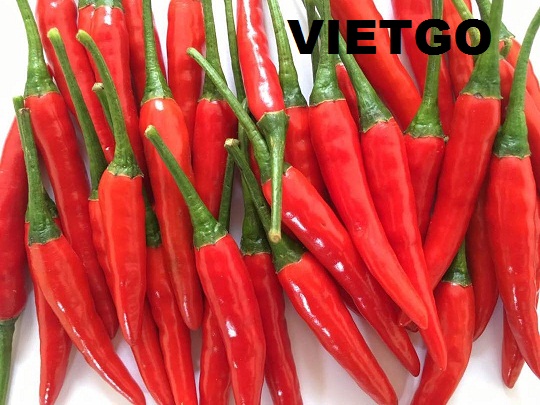 Cơ hội xuất khẩu 15 tấn ớt tươi mỗi tuần đến từ thương nhân Malaysia (Cần gấp)