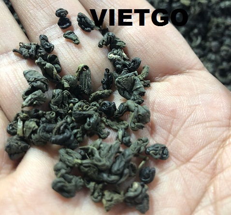 Cơ hội xuất khẩu 1 container 40ft chè xanh BT đến từ vị khách hàng người Úc