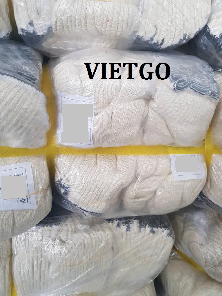 Cơ hội xuất khẩu 1 container 40ft găng tay lao động sang thị trường Hàn Quốc