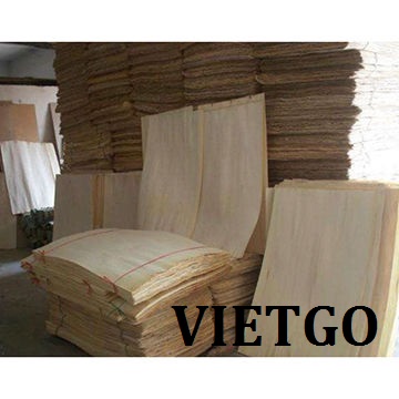 Cơ hội xuất khẩu 400m3 VÁN BÓC LÕI POPLAR mỗi tháng sang Israel