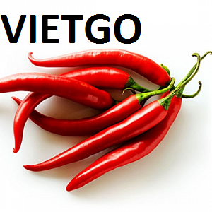 Cơ hội xuất khẩu mỗi tuần 15 tấn ớt xanh và ớt đỏ đến từ vị khách quen thuộc người Malaysia
