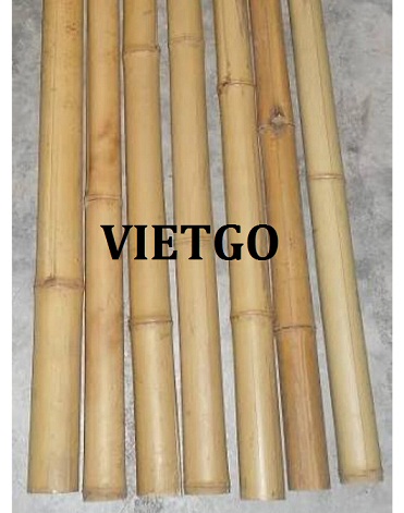 Cơ hội xuất khẩu 1 container 20ft gậy tre sang thị trường Thổ Nhĩ Kỳ