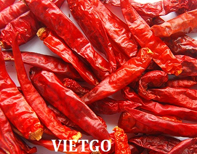Cơ hội xuất khẩu 40 tấn ớt khô đến từ vị khách người Yemen