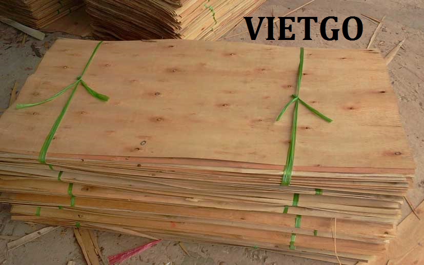 Vị khách hàng người Ấn Độ đang có nhu cầu nhập khẩu 15 đến 20 container 20ft VÁN BÓC từ gỗ bạch đàn mỗi tháng