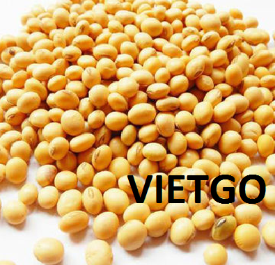 Cơ hội xuất khẩu 40 tấn đậu nành sang thị trường Trung Quốc