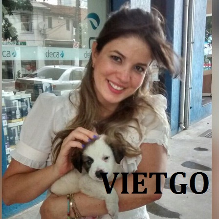 Cơ hội xuất khẩu mỗi tháng 40 tấn tinh bột sắn tự nhiên sang thị trường Brazil