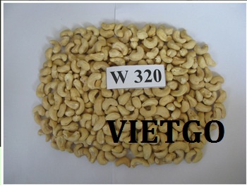 Cơ hội xuất khẩu 20 tấn hạt điều W320 sang thị trường Ả Rập Xê Út