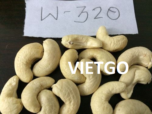 Cơ hội xuất khẩu 15 tấn hạt điều W240 và  W320 sang thị trường Ấn Độ