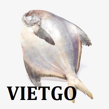 Cơ hội xuất khẩu 2 container 40ft cá basa và cá chim sang thị trường I-rắc