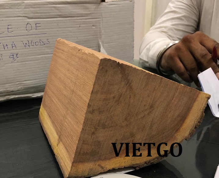 Cơ hội xuất khẩu 10.000 tấn GỖ KEO CAO CATECHU TRÒN sang thị trường Ấn Độ để sử dụng trong chế biến thuốc