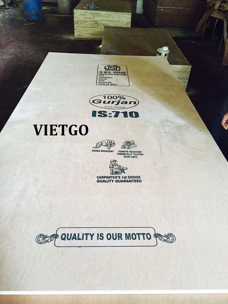 Cơ hội xuất khẩu 2 container 40ft GỖ DÁN mỗi tháng sang Ấn Độ