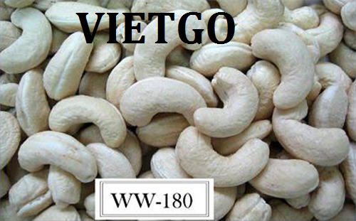 Cơ hội xuất khẩu 1 container 20ft hạt điều WW240, WW180, WW320, sang thị trường Nga